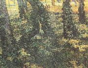 Vincent Van Gogh Tree Trunks with Ivy (nn04) Sweden oil painting artist
